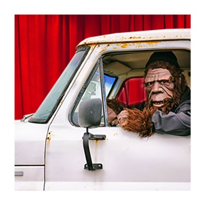 Sasquatch, unreliable and often blurry
